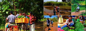 Sigiriya and Village Farm experience