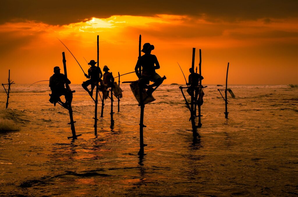 Galle Full-Day Tour