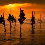Galle Full-Day Tour