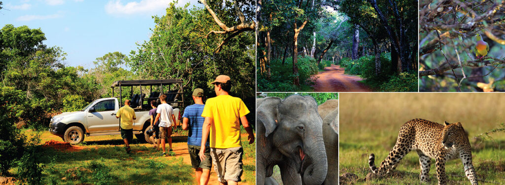 Safari Experience in Sri Lanka