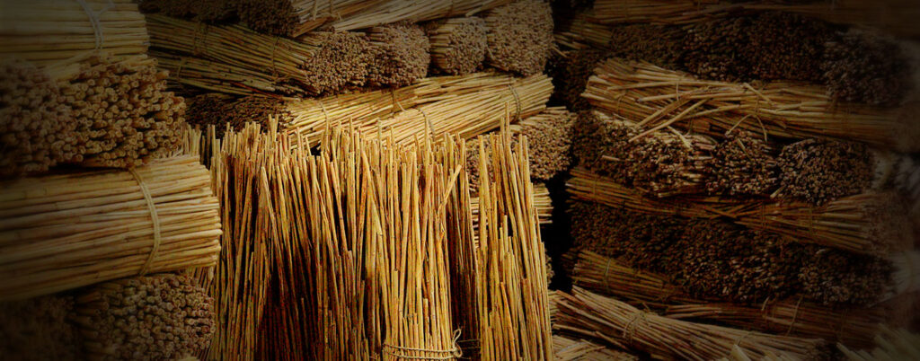 Cinnamon Value Chain in Sri Lanka