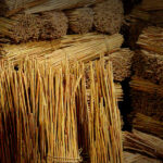 Cinnamon Value Chain in Sri Lanka