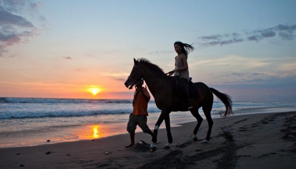 Horse Riding in Sri Lanka