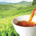 Best Herbal Ayurvedic and healthy tea in Sri Lanka