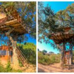 All Inclusive Leopard Nest Luxury Glamping experience in Yala