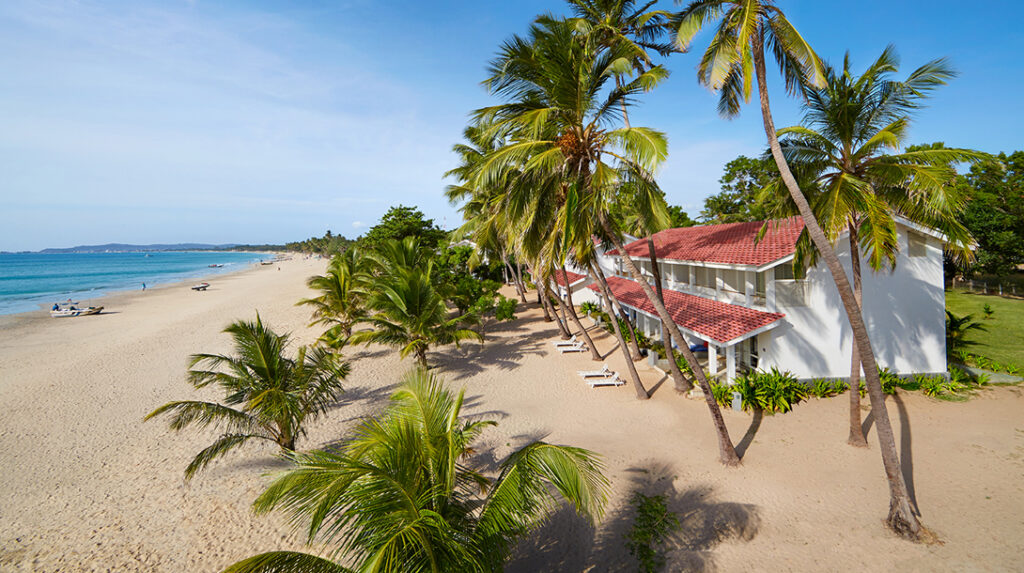 Trinco Blu by Cinnamon