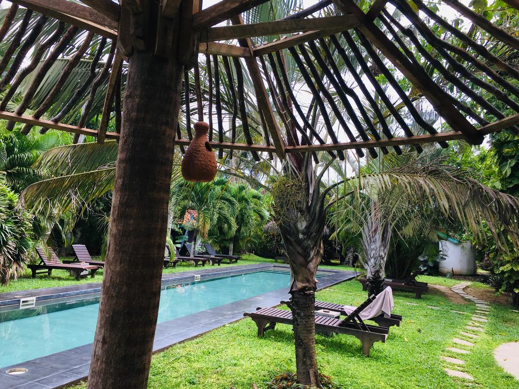 Turtle Eco Beach