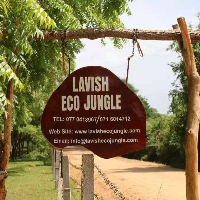 Lavish Eco Jungle