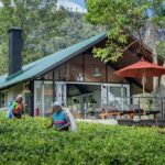Madulkelle Tea and Eco Lodge