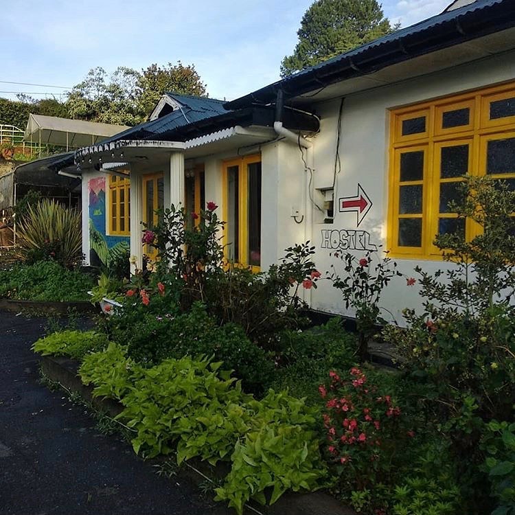 Laughing Leopard Hostel