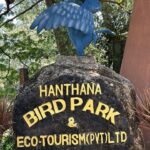 Hanthana Bird Park