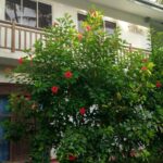 Unawatuna Apartments