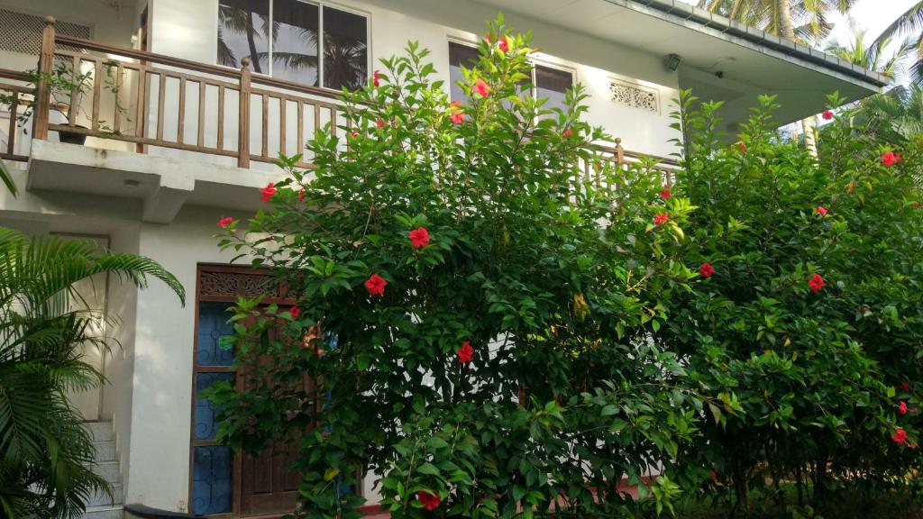 Unawatuna Apartments