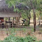 Majestic Beach Retreat