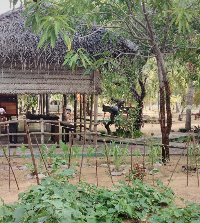 Majestic Beach Retreat