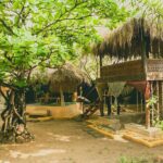 Surf N Sun – Arugam Bay