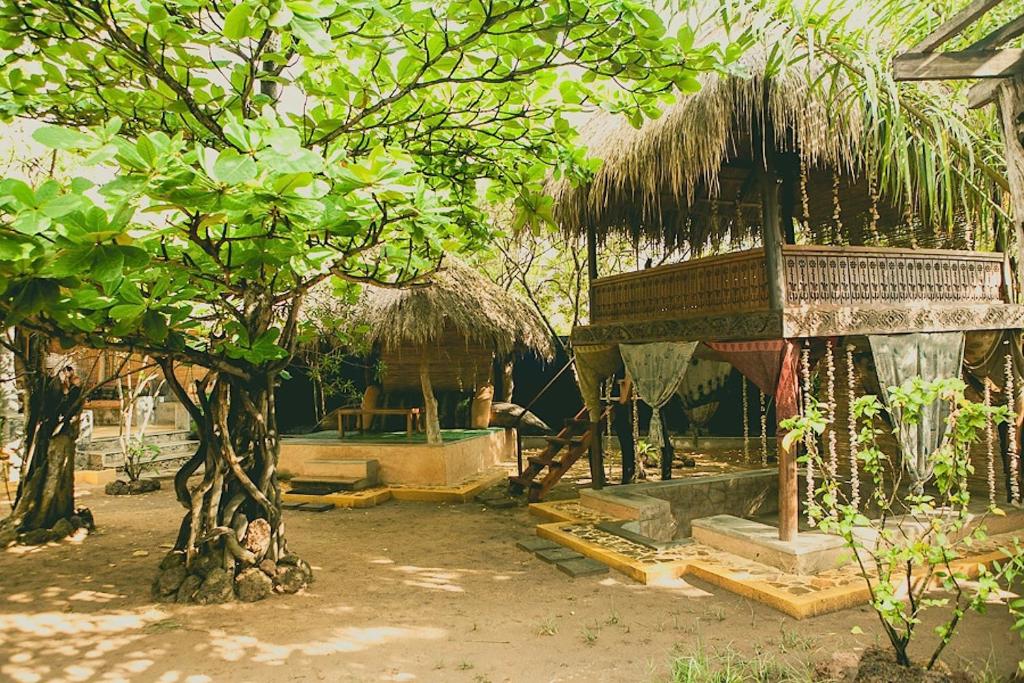 Surf N Sun – Arugam Bay