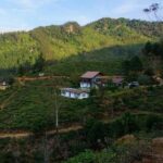 Hill Safari – Tea Estate Villa