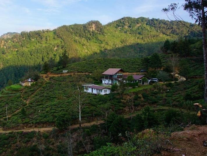 Hill Safari – Tea Estate Villa