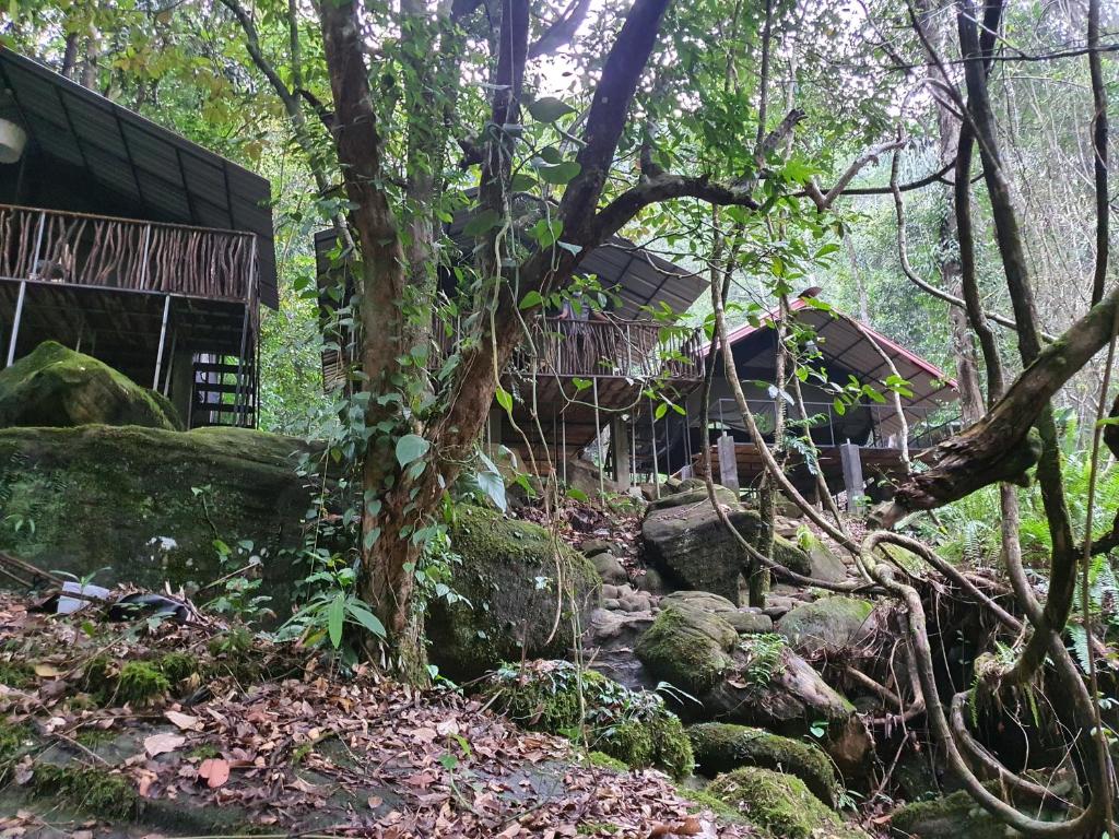 Canyon Girankittha Nature Resort