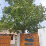 Oruwa Boutique Villas