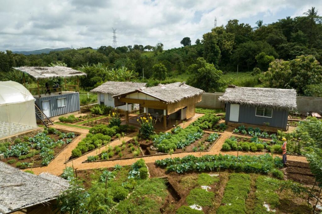 Vegan Factory & Farm Stay