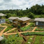 Vegan Factory & Farm Stay