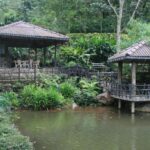 Maskeli Oya Family Park