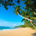 Sri Lanka tours package in 9 Days (Amazing Sri Lanka)