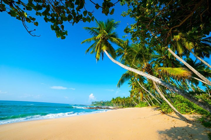Sri Lanka tours package in 9 Days (Amazing Sri Lanka)