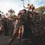 August Kandy Festive Tour