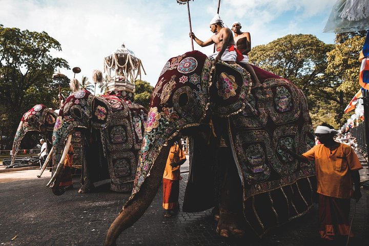 August Kandy Festive Tour