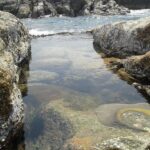 Ambalangoda Beach Pool